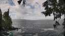 ./images/koeye/fitz-hugh/20250921/fitz-hugh20250921_114001M.jpg