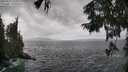 ./images/koeye/fitz-hugh/20250921/fitz-hugh20250921_122501M.jpg