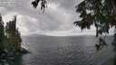 ./images/koeye/fitz-hugh/20250921/fitz-hugh20250921_131502M.jpg
