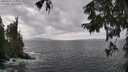 ./images/koeye/fitz-hugh/20250921/fitz-hugh20250921_132001M.jpg