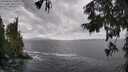 ./images/koeye/fitz-hugh/20250921/fitz-hugh20250921_133001M.jpg