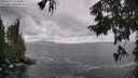 ./images/koeye/fitz-hugh/20250921/fitz-hugh20250921_134001M.jpg