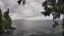 ./images/koeye/fitz-hugh/20250921/fitz-hugh20250921_134501M.jpg