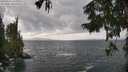 ./images/koeye/fitz-hugh/20250921/fitz-hugh20250921_141001M.jpg
