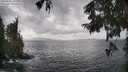 ./images/koeye/fitz-hugh/20250921/fitz-hugh20250921_141501M.jpg