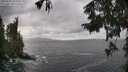 ./images/koeye/fitz-hugh/20250921/fitz-hugh20250921_142502M.jpg