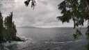 ./images/koeye/fitz-hugh/20250921/fitz-hugh20250921_143001M.jpg