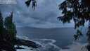 ./images/koeye/fitz-hugh/20250921/fitz-hugh20250921_195001M.jpg