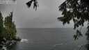 ./images/koeye/fitz-hugh/20250922/fitz-hugh20250922_131002M.jpg