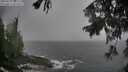 ./images/koeye/fitz-hugh/20250922/fitz-hugh20250922_181501M.jpg