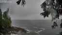 ./images/koeye/fitz-hugh/20250922/fitz-hugh20250922_184001M.jpg