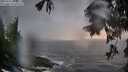 ./images/koeye/fitz-hugh/20250922/fitz-hugh20250922_185501M.jpg