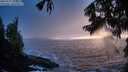 ./images/koeye/fitz-hugh/20250922/fitz-hugh20250922_194001M.jpg