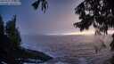 ./images/koeye/fitz-hugh/20250922/fitz-hugh20250922_194501M.jpg