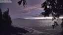./images/koeye/fitz-hugh/20250922/fitz-hugh20250922_200001M.jpg
