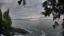 ./images/koeye/fitz-hugh/20250923/fitz-hugh20250923_075501M.jpg