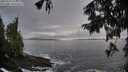 ./images/koeye/fitz-hugh/20250923/fitz-hugh20250923_080001M.jpg