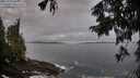 ./images/koeye/fitz-hugh/20250923/fitz-hugh20250923_081001M.jpg