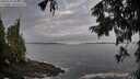 ./images/koeye/fitz-hugh/20250923/fitz-hugh20250923_083001M.jpg