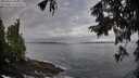 ./images/koeye/fitz-hugh/20250923/fitz-hugh20250923_084002M.jpg