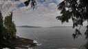 ./images/koeye/fitz-hugh/20250923/fitz-hugh20250923_092501M.jpg