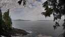 ./images/koeye/fitz-hugh/20250923/fitz-hugh20250923_093001M.jpg