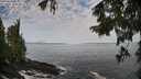 ./images/koeye/fitz-hugh/20250923/fitz-hugh20250923_093501M.jpg