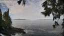 ./images/koeye/fitz-hugh/20250923/fitz-hugh20250923_100501M.jpg