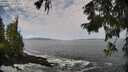 ./images/koeye/fitz-hugh/20250923/fitz-hugh20250923_104001M.jpg
