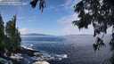./images/koeye/fitz-hugh/20250923/fitz-hugh20250923_113001M.jpg