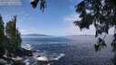 ./images/koeye/fitz-hugh/20250923/fitz-hugh20250923_113501M.jpg