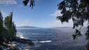 ./images/koeye/fitz-hugh/20250923/fitz-hugh20250923_114002M.jpg