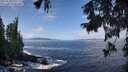 ./images/koeye/fitz-hugh/20250923/fitz-hugh20250923_114501M.jpg