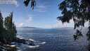 ./images/koeye/fitz-hugh/20250923/fitz-hugh20250923_115001M.jpg