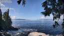 ./images/koeye/fitz-hugh/20250923/fitz-hugh20250923_121001M.jpg