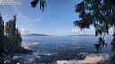 ./images/koeye/fitz-hugh/20250923/fitz-hugh20250923_121502M.jpg