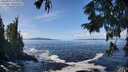 ./images/koeye/fitz-hugh/20250923/fitz-hugh20250923_123002M.jpg