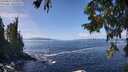 ./images/koeye/fitz-hugh/20250923/fitz-hugh20250923_124501M.jpg