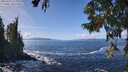 ./images/koeye/fitz-hugh/20250923/fitz-hugh20250923_125001M.jpg