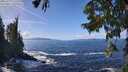 ./images/koeye/fitz-hugh/20250923/fitz-hugh20250923_125502M.jpg