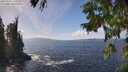 ./images/koeye/fitz-hugh/20250923/fitz-hugh20250923_135001M.jpg
