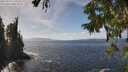 ./images/koeye/fitz-hugh/20250923/fitz-hugh20250923_140501M.jpg