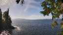 ./images/koeye/fitz-hugh/20250923/fitz-hugh20250923_141501M.jpg