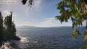 ./images/koeye/fitz-hugh/20250923/fitz-hugh20250923_142001M.jpg