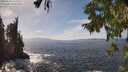 ./images/koeye/fitz-hugh/20250923/fitz-hugh20250923_142501M.jpg