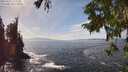 ./images/koeye/fitz-hugh/20250923/fitz-hugh20250923_143001M.jpg