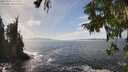./images/koeye/fitz-hugh/20250923/fitz-hugh20250923_143501M.jpg