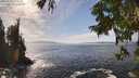 ./images/koeye/fitz-hugh/20250923/fitz-hugh20250923_144001M.jpg