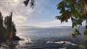 ./images/koeye/fitz-hugh/20250923/fitz-hugh20250923_144501M.jpg