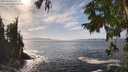 ./images/koeye/fitz-hugh/20250923/fitz-hugh20250923_150002M.jpg